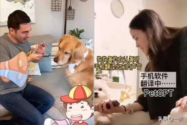 全球首个宠物翻译器，上线爆火-3.jpg