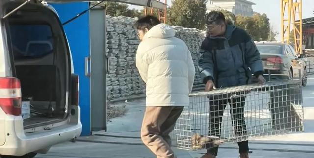 流浪狗为了报恩，竟将小奶狗送给了小姐姐，小姐姐哭的泣不成声。-10.jpg