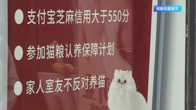 “免费领养宠物”真的不花钱吗？小心这些“坑”！律师提醒→-5.jpg