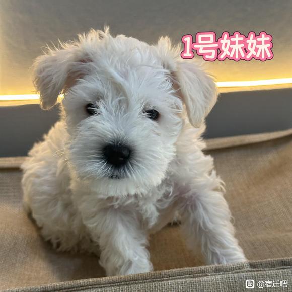 你最喜欢几号？-1.jpg