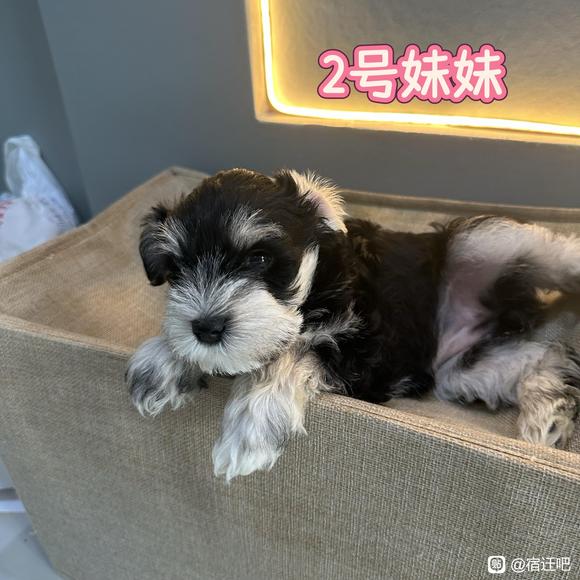 你最喜欢几号？-2.jpg