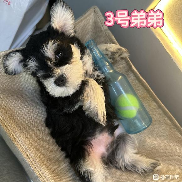 你最喜欢几号？-3.jpg