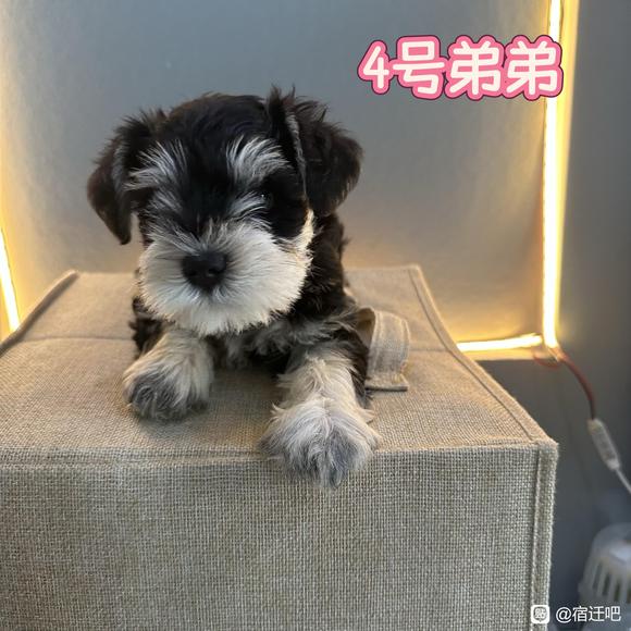 你最喜欢几号？-4.jpg
