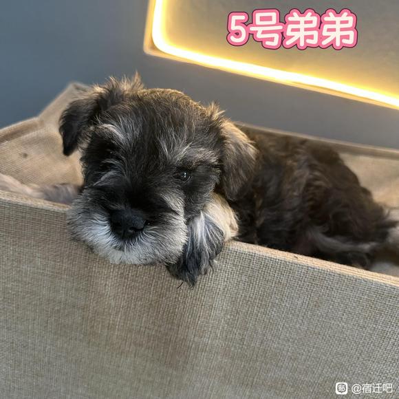 你最喜欢几号？-5.jpg