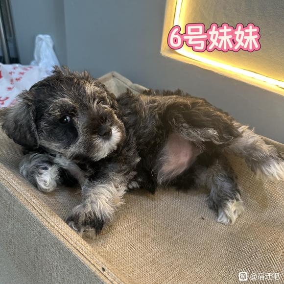 你最喜欢几号？-6.jpg