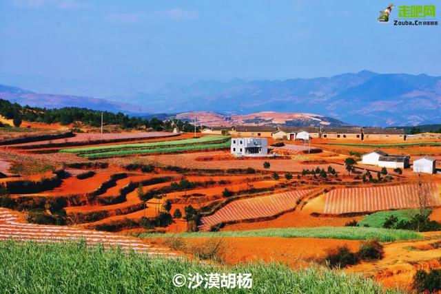 云南私藏小城，11次荣登养老宜居榜，2月太值得去小住几天！-45.jpg
