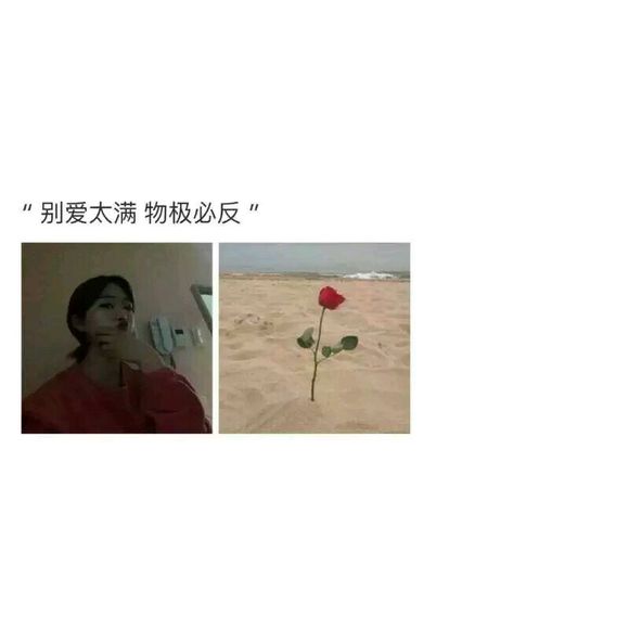文字：分享喜欢的字-1.jpg